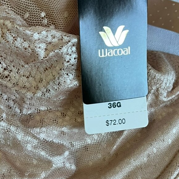 NEW with Tags Wacoal Back Appeal Underwire Bra in Praline Size 36G - Picture 4 of 5